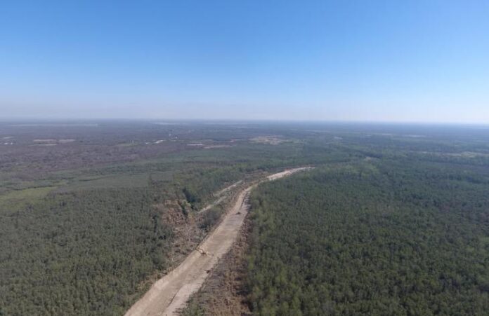 730x473_251105112835_96381