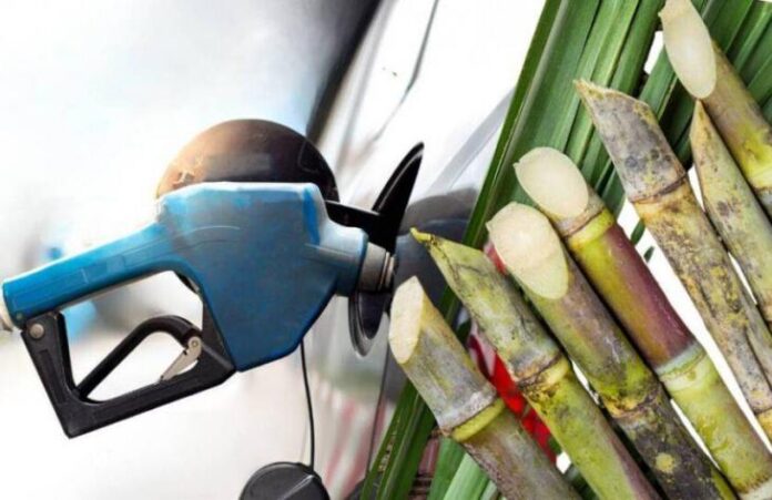 730x473_251110105856_86304